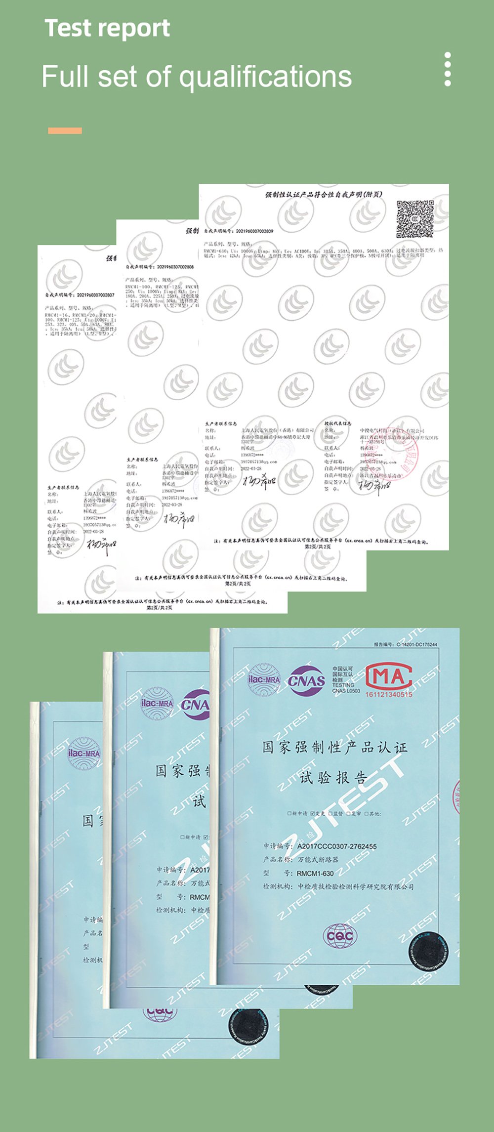 CHOSO Residual Current Circuit Breaker (RCCB) (14)
